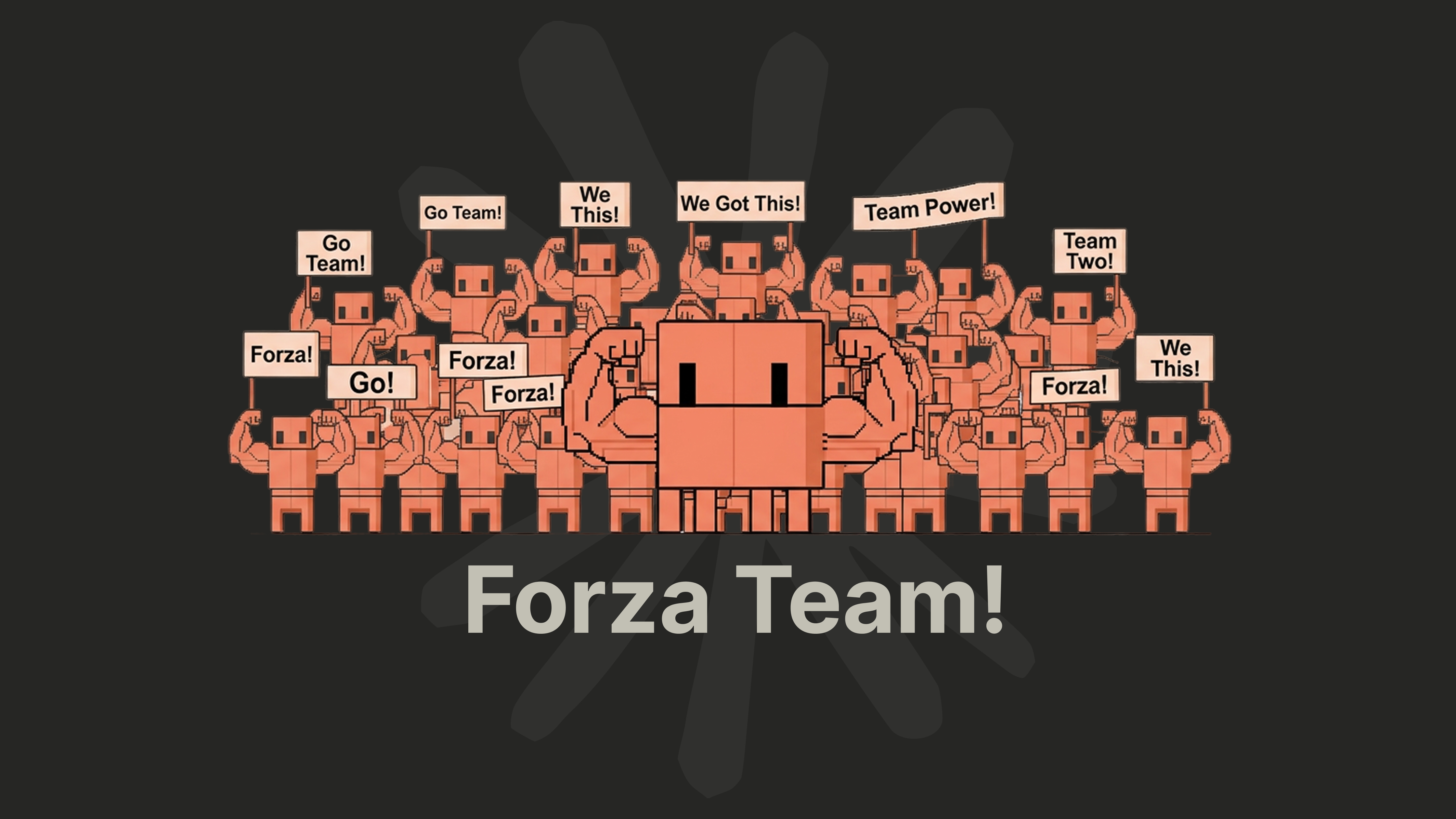 Forza Team Crowd Center Night